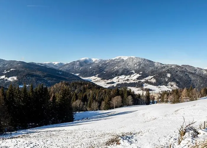 Seisen Almchalet Мурау